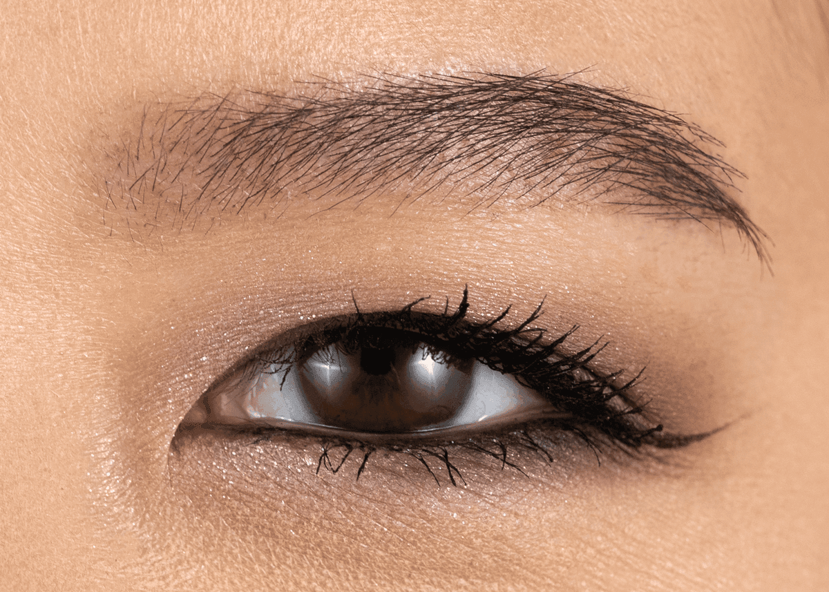 That's Taupe Pressed Powder Palette On Eyelid
