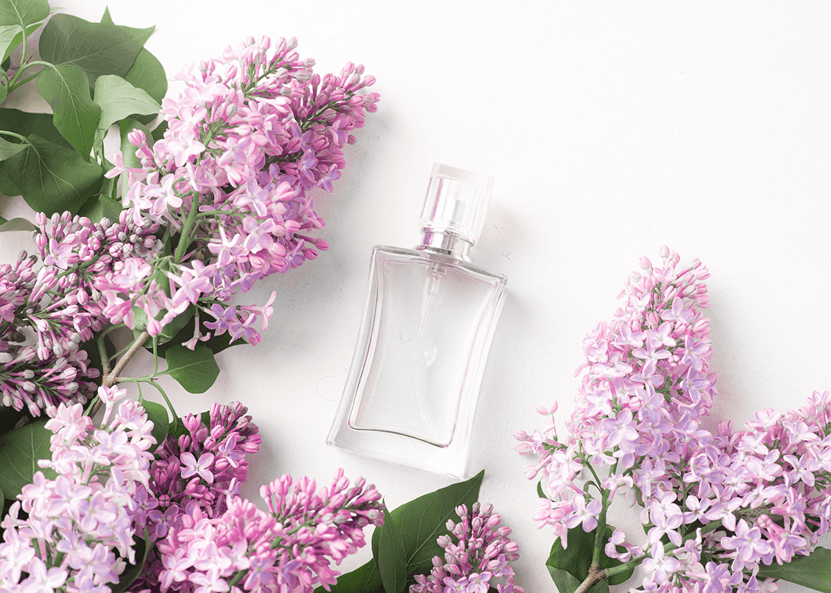 Fragrance Feature image with Lilacs
