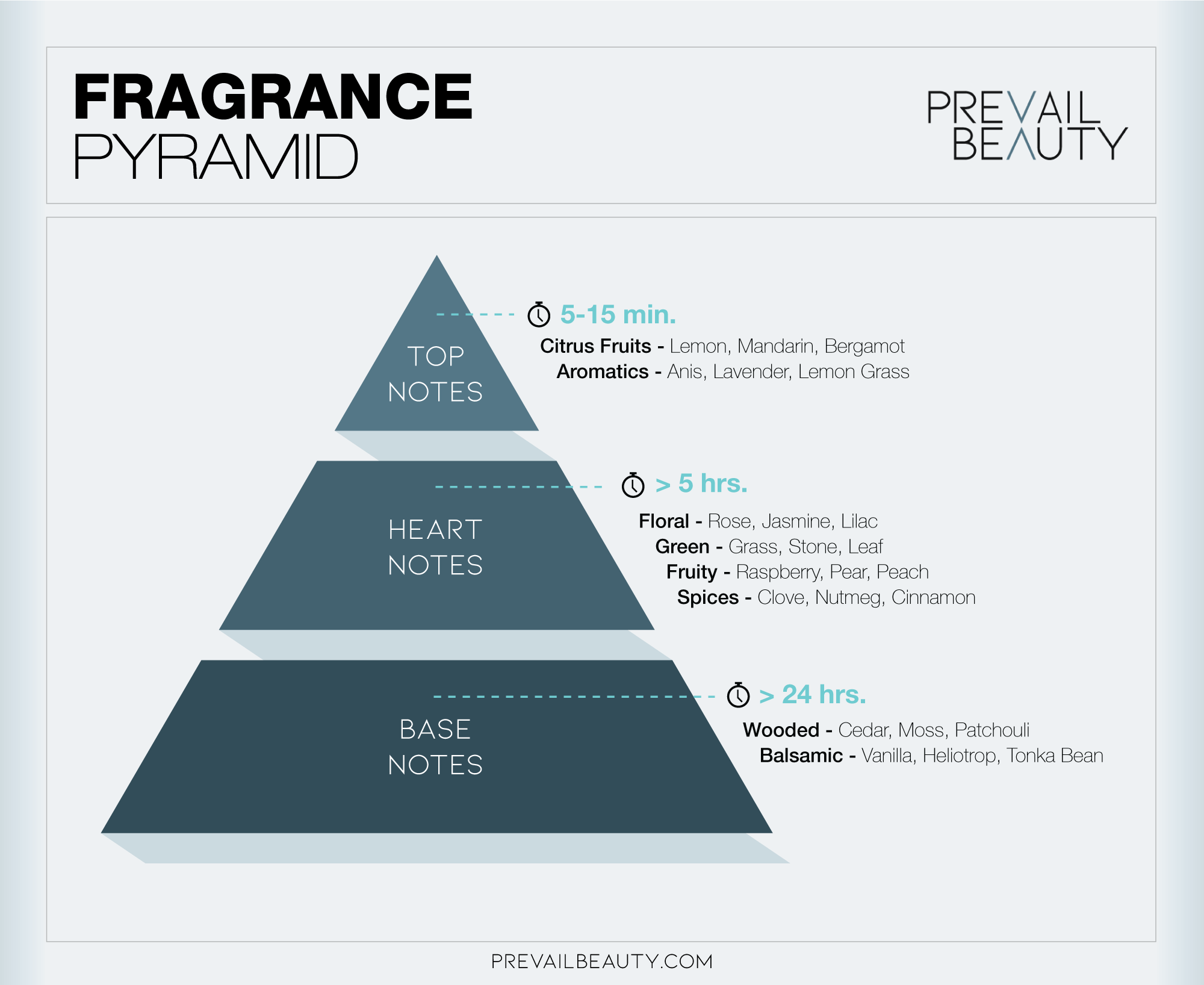 Fragrance Pyramid - Notes & Scents - Infographic
